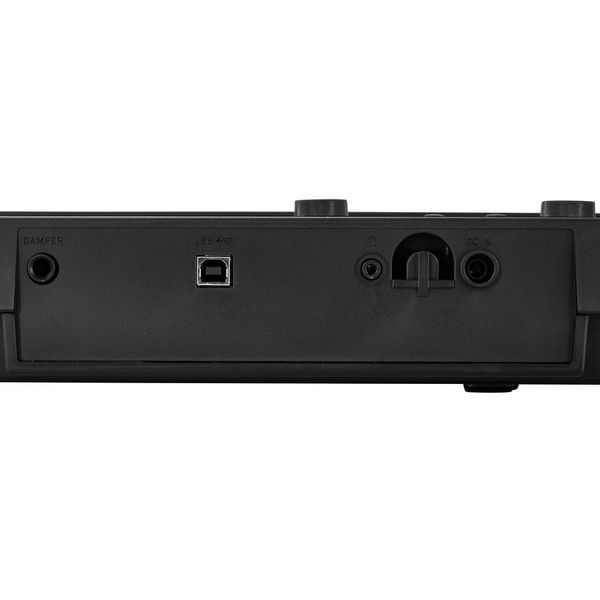 Korg Liano Korg Liano