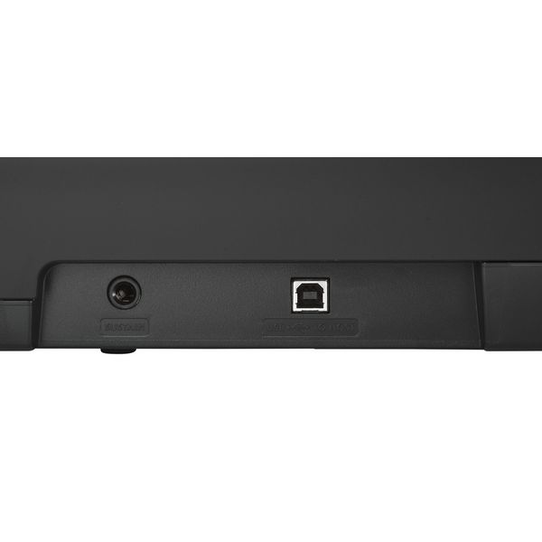 Yamaha NP-15 Piaggero